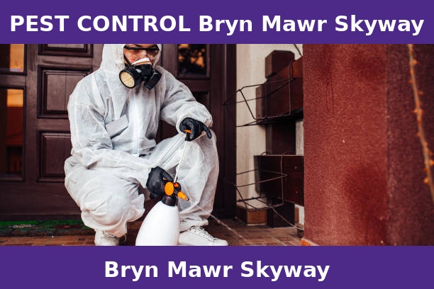 PEST CONTROL Bryn Mawr Skyway